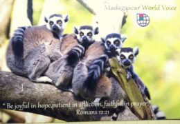 QSL Madagascar World Voice KNLS Мадагаскар Ноябрь 2016 — Январь 2017 года