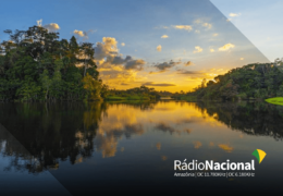 e-QSL ZYE365 Radio Nacional da Amazonia Бразилия Ноябрь 2021 года